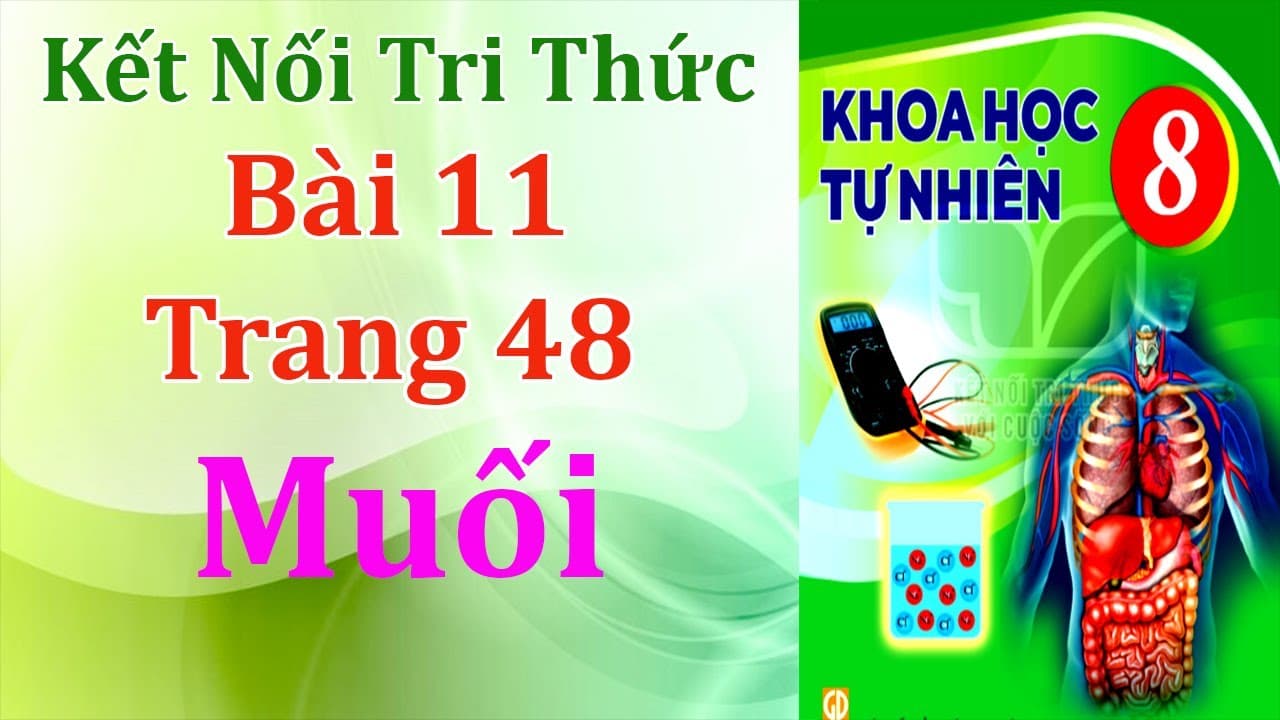 Muối lớp 8: Khái niệm, phân loại, tính chất và phản ứng